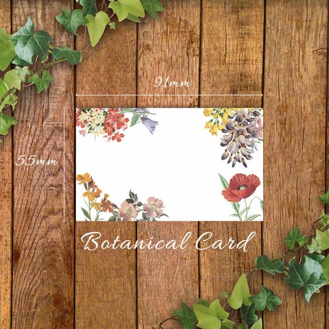 ボタニカルカード*botanical card*