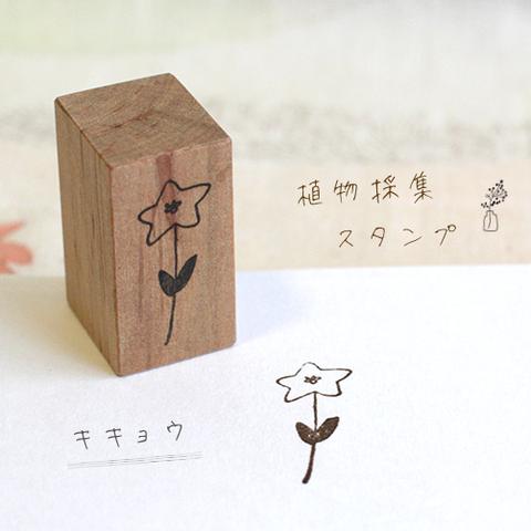 植物採集スタンプ：『桔梗』