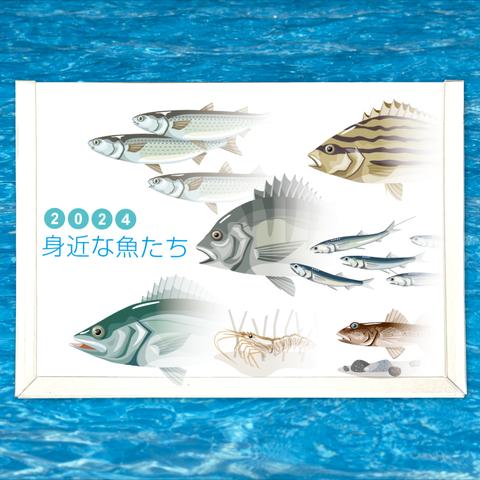 2024年　身近な魚たち　卓上カレンダー