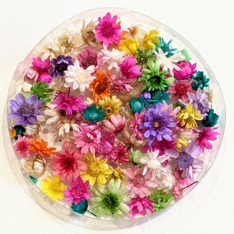 ドライフラワー MIX 100個 ヘッド 花 小花 花材 レジン パーツ