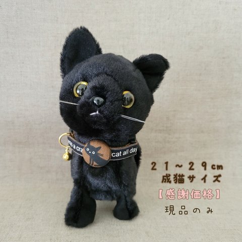 【感謝価格】猫の首輪🐈‍⬛