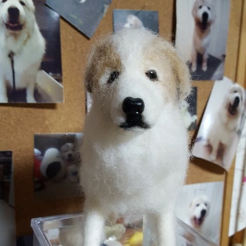 オーダーメイド 愛犬お作りします 【Mサイズ】