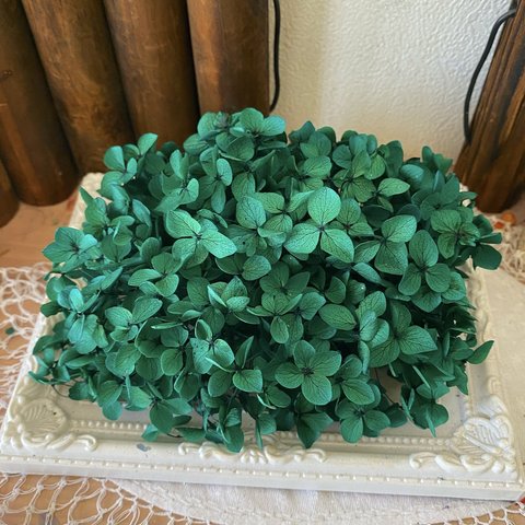 綺麗グリーンアナベルアジサイ小分け❣️ハンドメイド花材プリザーブドフラワー