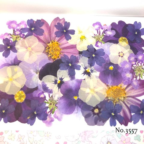 ♡new♡作家様必見♡押し花MIXセット♡押し花セット