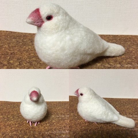 オーダー品 文鳥