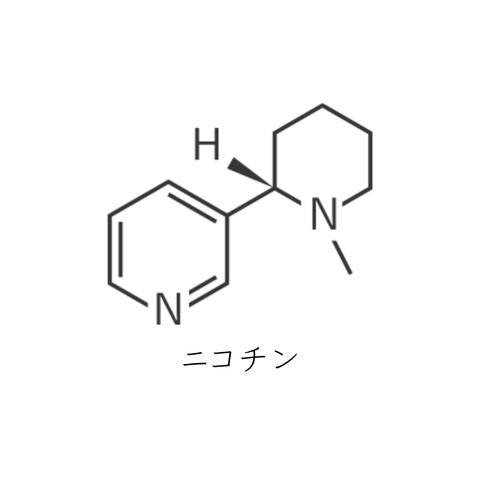 ニコチン【B-32】｜10日間持続 新感覚タトゥーシール 防水 ワンポイント