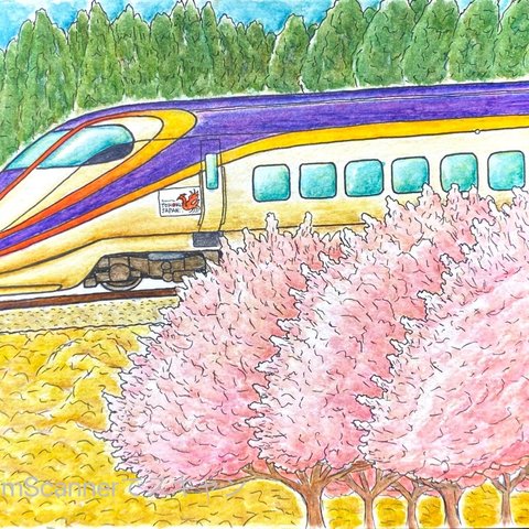 描き鉄ポストカード3枚セット［春の桜と鉄道たち］