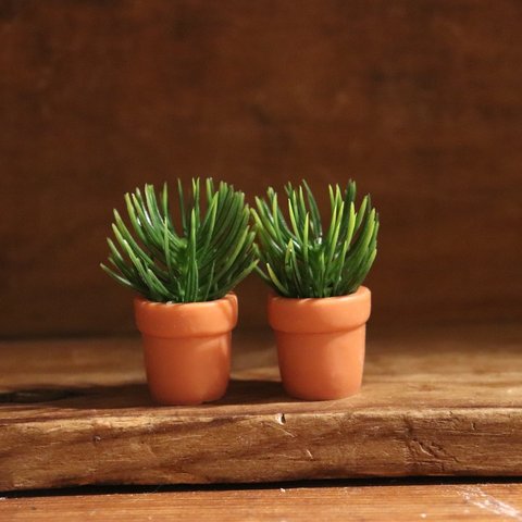 小さな植物のset