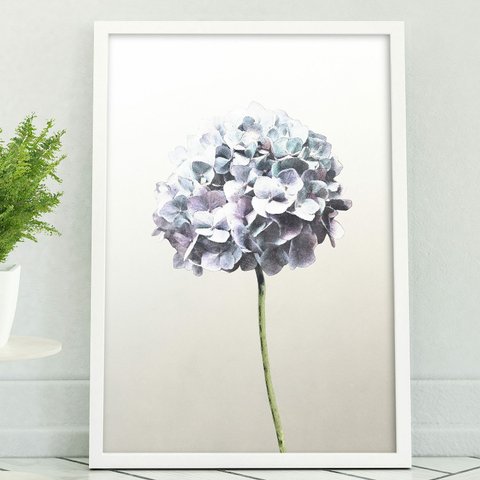 アートポスター/ Blue hydrangea　おしゃれインテリア・北欧、モノトーン好きの方に☆