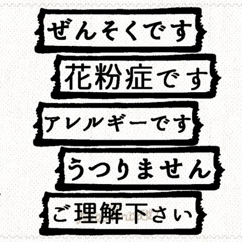 マスクに押すだけ♪ 送料無料 お仕事や通勤に♪ 大人用 スタンプ♪ マスクデコ専用 マステ柄 エチケット スタンプ   はんこ 花粉症 ぜんそく 喘息マーク アレルギー