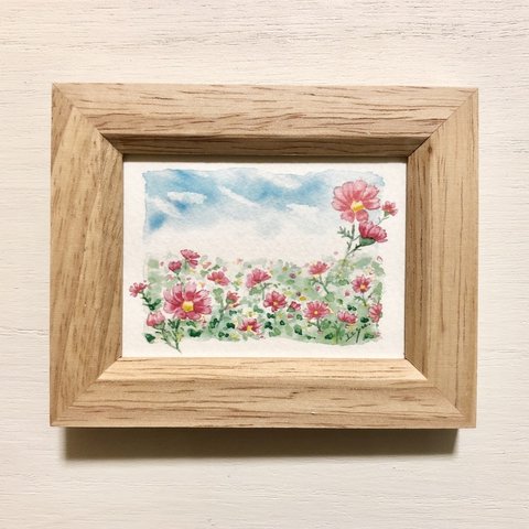 🌸透明水彩画「秋空のコスモス畑」イラストミニ額    プチギフト　秋 花　フラワー　敬老の日　敬老の日ギフト🌸