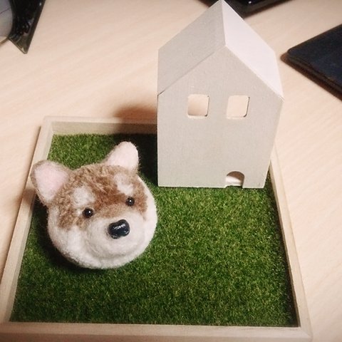 柴犬 動物ぽんぽんシリーズ