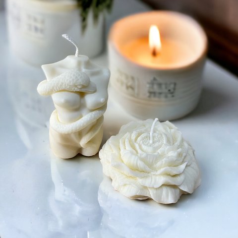 韓国風candle snakeとお花のcandle2set♡