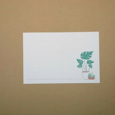 モンステラ＆多肉植物のポストカード 2枚1組