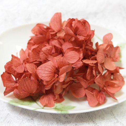 ひめ紫陽花　あじさい　アジサイ　プリザーブド　ブラウンレッド