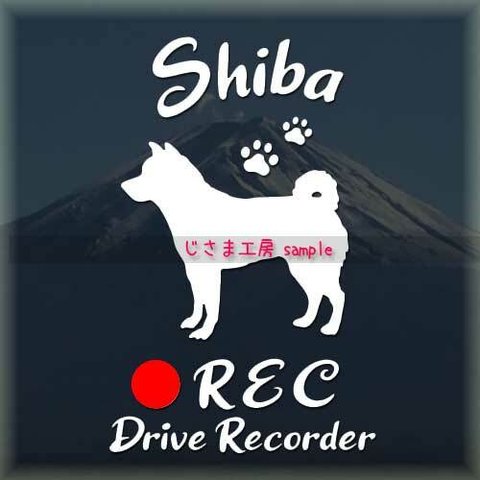 わんちゃんのかわいいドラレコステッカー　『DRIVE　RECORDER』