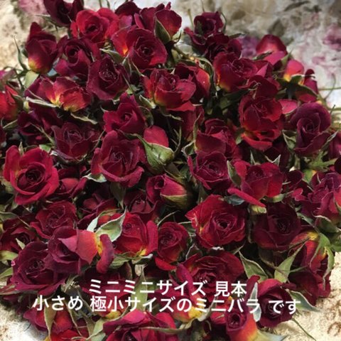 ミニミニ薔薇★ミニバラ  ドライフラワー★20輪セット+おまけ2輪付★小さめミニ薔薇★花材　素材★レジン作品などに★