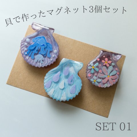 【3個セット】本物の貝で作ったマグネット SET 01