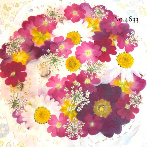 ♡new♡作家様必見♡押し花MIXセット♡押し花セット