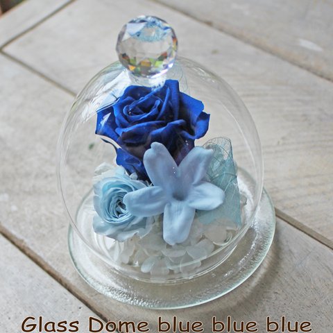 Glass Dome blue blue blue