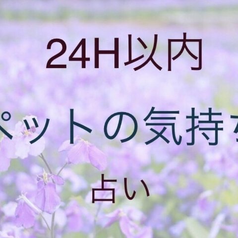 開運♡潜在意識セラピー　心理学　脳科学　毒親　HSP アダルトチルドレン　トラウマ