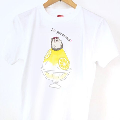 わくわくしてる？ハリネズミTシャツ