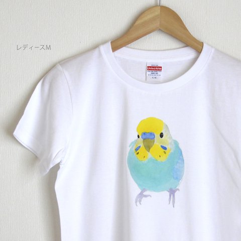 p-jet　セキセイインコ  （レインボー） Tシャツ　 / 鳥　インコ 
