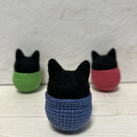 猫のヒゲ刺し🐾　黒猫　アッシュブルー