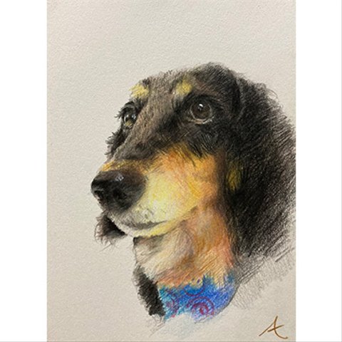 色鉛筆で描くペット、人物の肖像画（2L）