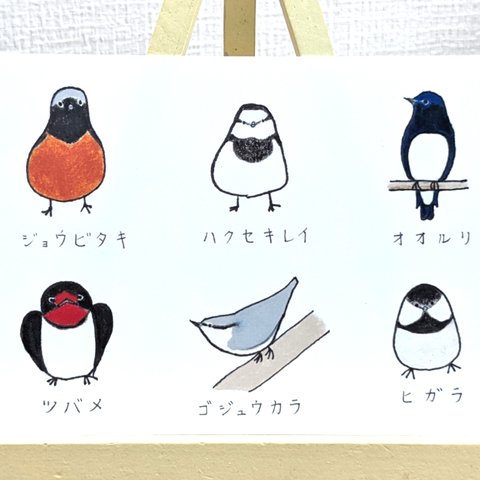 日本の野鳥づくし6羽B-1 同柄3枚組ポストカード【変更可能】