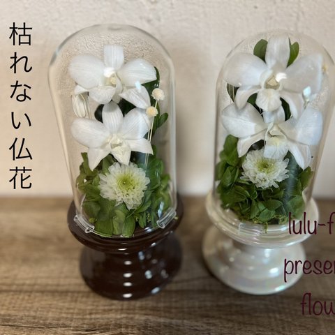 花器の色が選べる⭐︎プリザーブドフラワー仏花 供花  デンファレホワイト　ガラスドーム ホワイト  ブラウン