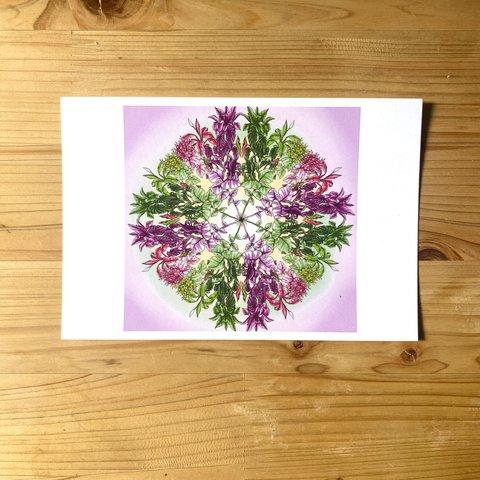 Purple and Green Mandala Postcard 紫と緑マンダラのアートはがき