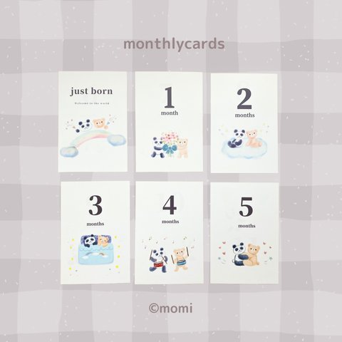 Monthly cards -The first year-