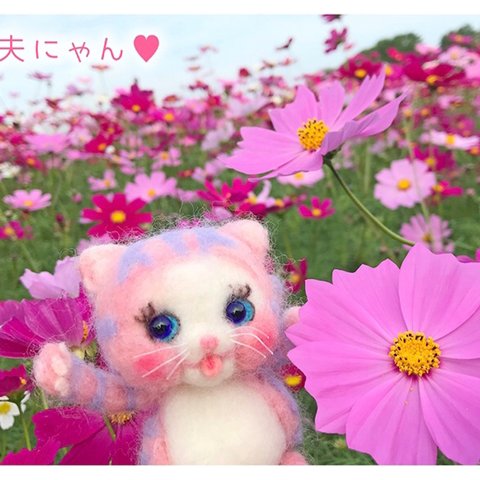 A27にゃん🐈  大丈夫にゃん🌷メルティカカード🌷🍓2枚で1セット🍓