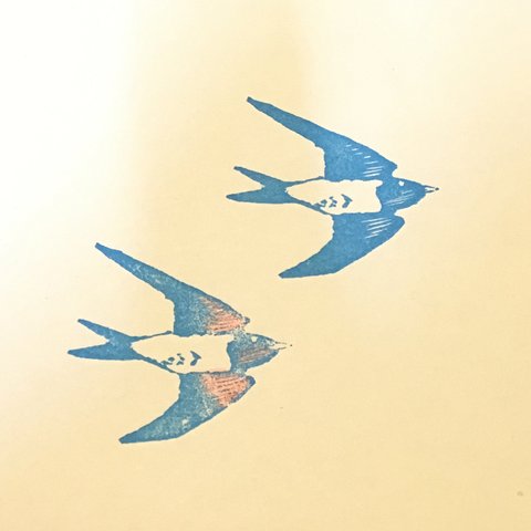 Flying swallow