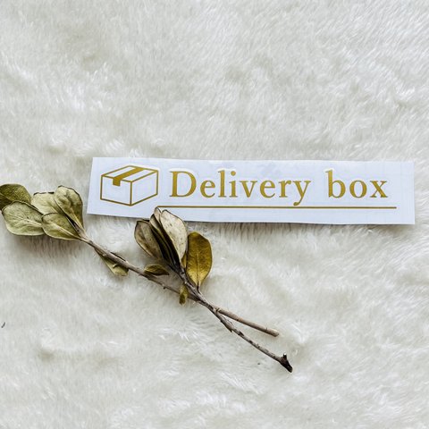 Delivery box ＊宅配ボックス英語バージョン 転写シール 配達シール 宅配BOX 耐水ステッカー おしゃれ かわいい シンプル