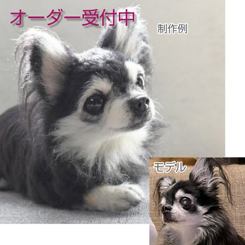 羊毛フェルト オーダーメイド 受注生産  犬 猫 ペットロス  ペット オーダー