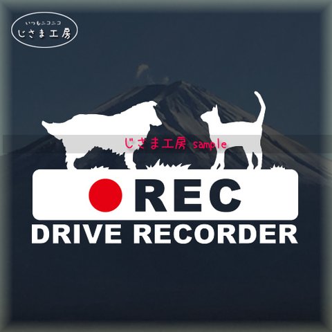 ＤＲＩＶＥＲＥＣ　ステッカー　犬　2頭飼い　多頭飼い　ウエルシュコーギー＆パピヨン