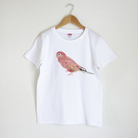 p-jet　アキクサインコ  Tシャツ　/  鳥 インコ 