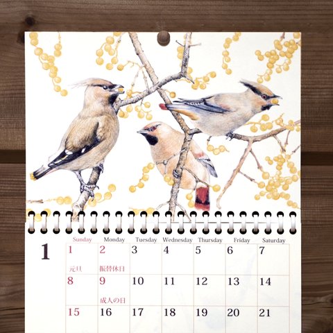 野鳥のカレンダー 2023 (壁かけ版)