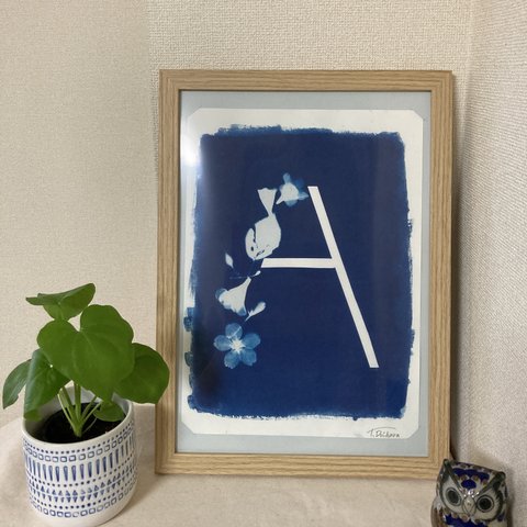 サイアノ/青写真　"letter A"