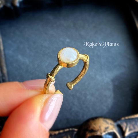 〖再販〗〘6mm〙アルテミスの瞳 魔法石リングGemstone Ring "Moonstone"