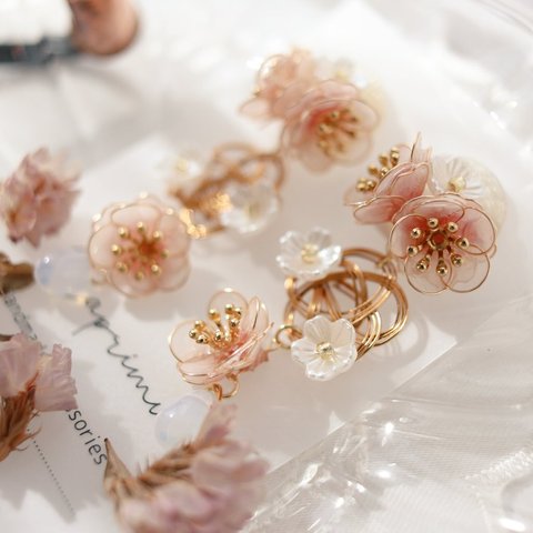 白　ピンク　八重咲きの白梅のピアス/イヤリング