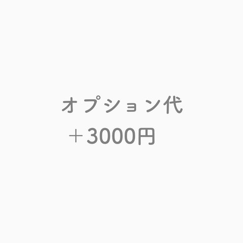 オプション代 ＋3000円