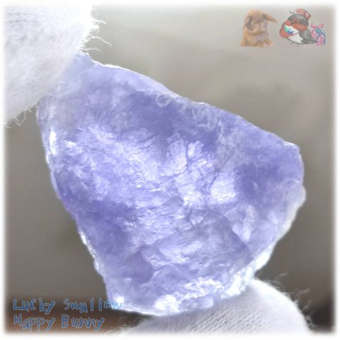 ◆ 濃い色 内部高透明 宝石質 すみれ色 パープルフローライト 欠片 結晶 蛍石 原石 M12