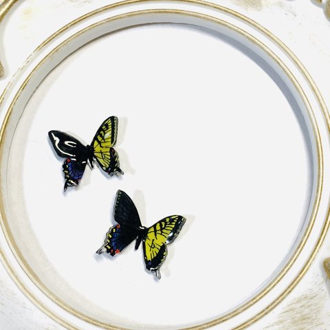 手描きのアゲハ蝶のスタッドピアス　表裏一体デザイン　サージカルステンレス