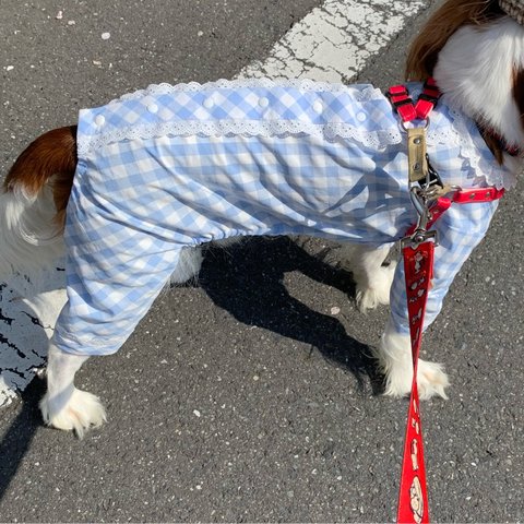 犬服ギンガムチェック細巾綿レース付きオールインワンロンパース新作春夏物