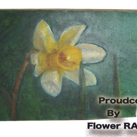 flower art By Oil Paiting