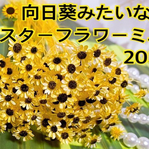 向日葵みたいなスターフラワーミニ20本