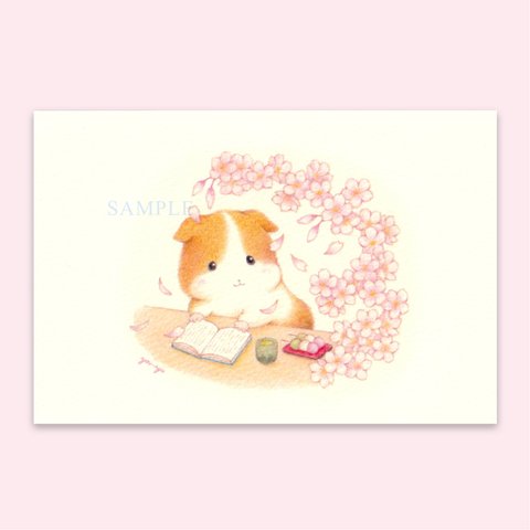 ポストカード 和言葉『零れ桜』
